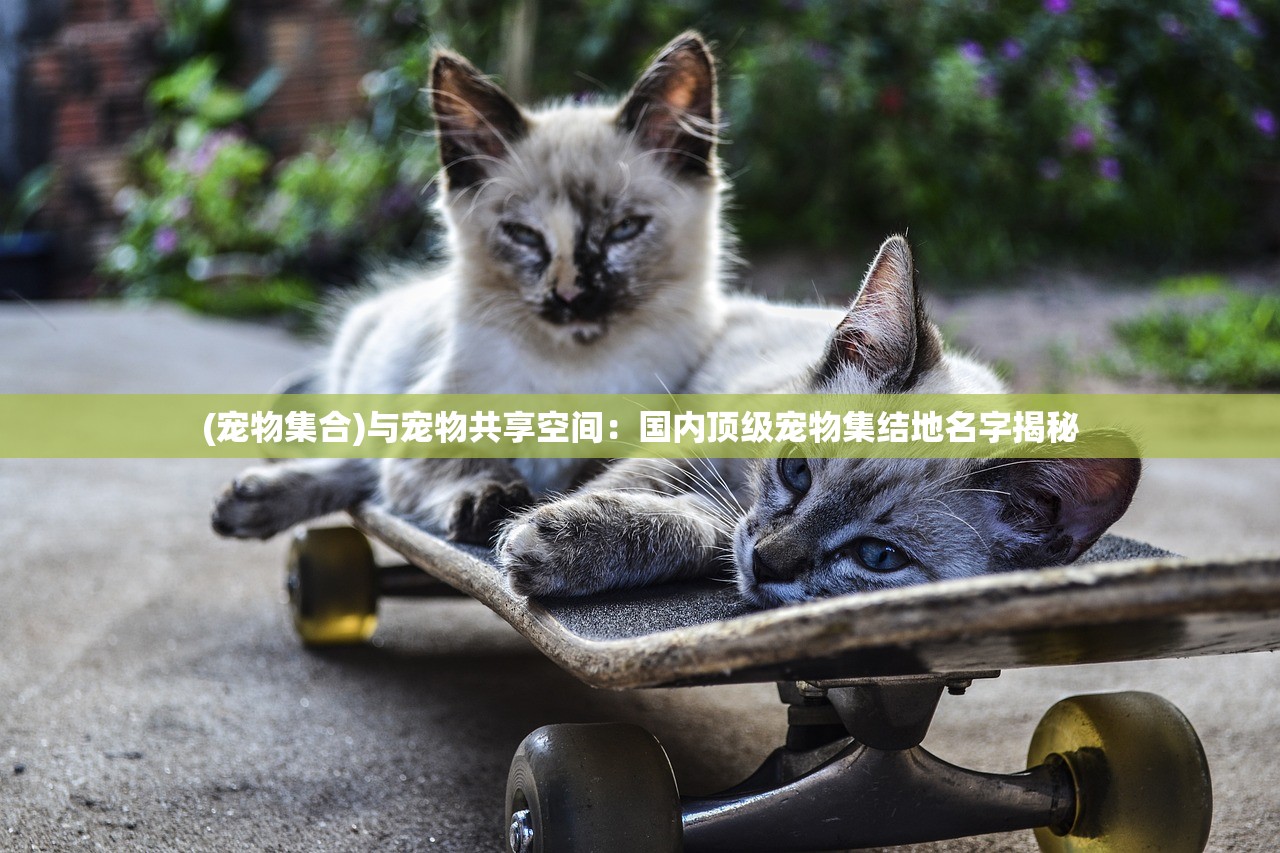 网游穿越者必看：完整解析月影之塔关卡攻略与神秘秘籍全攻略，掌握每一个要点稳定通关