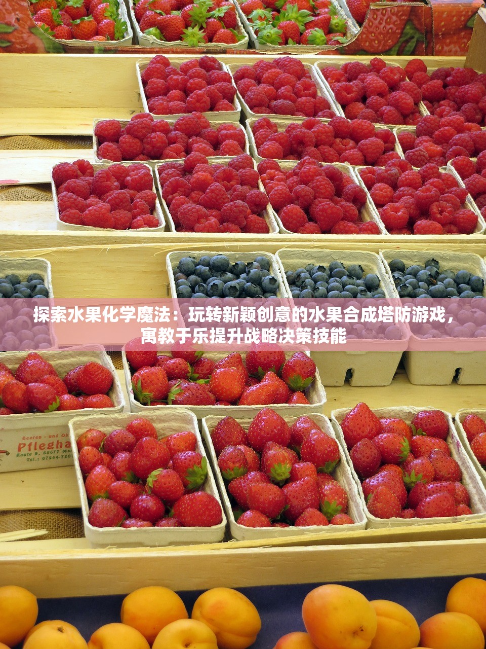 探讨热血游戏《英雄三国志》的全版本发行历程：一共几期？它们各自又有何独特魅力？