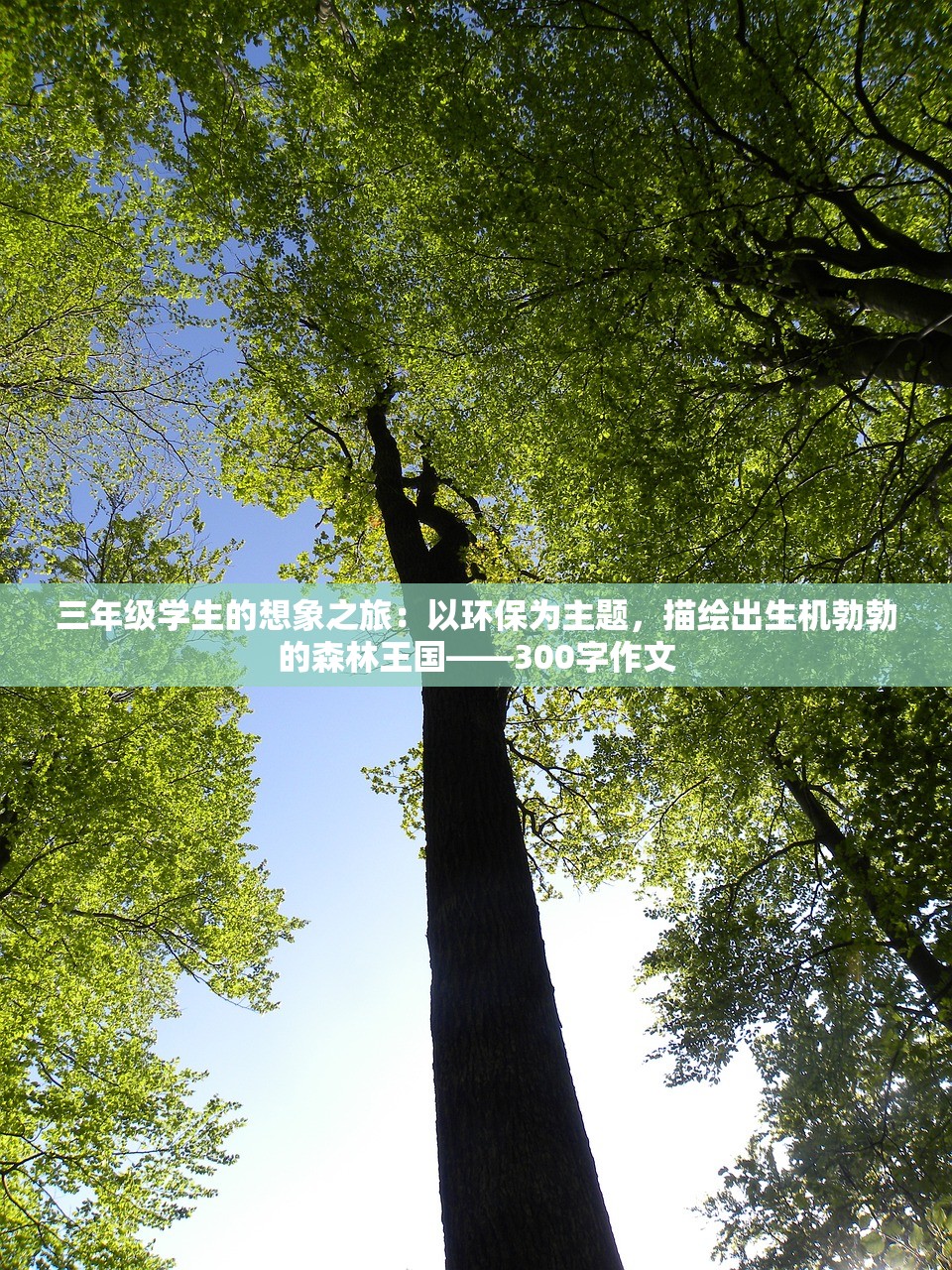 游戏攻略专栏：如何进行有效养成？深度剖析《皇后成长计划2》技巧及策略