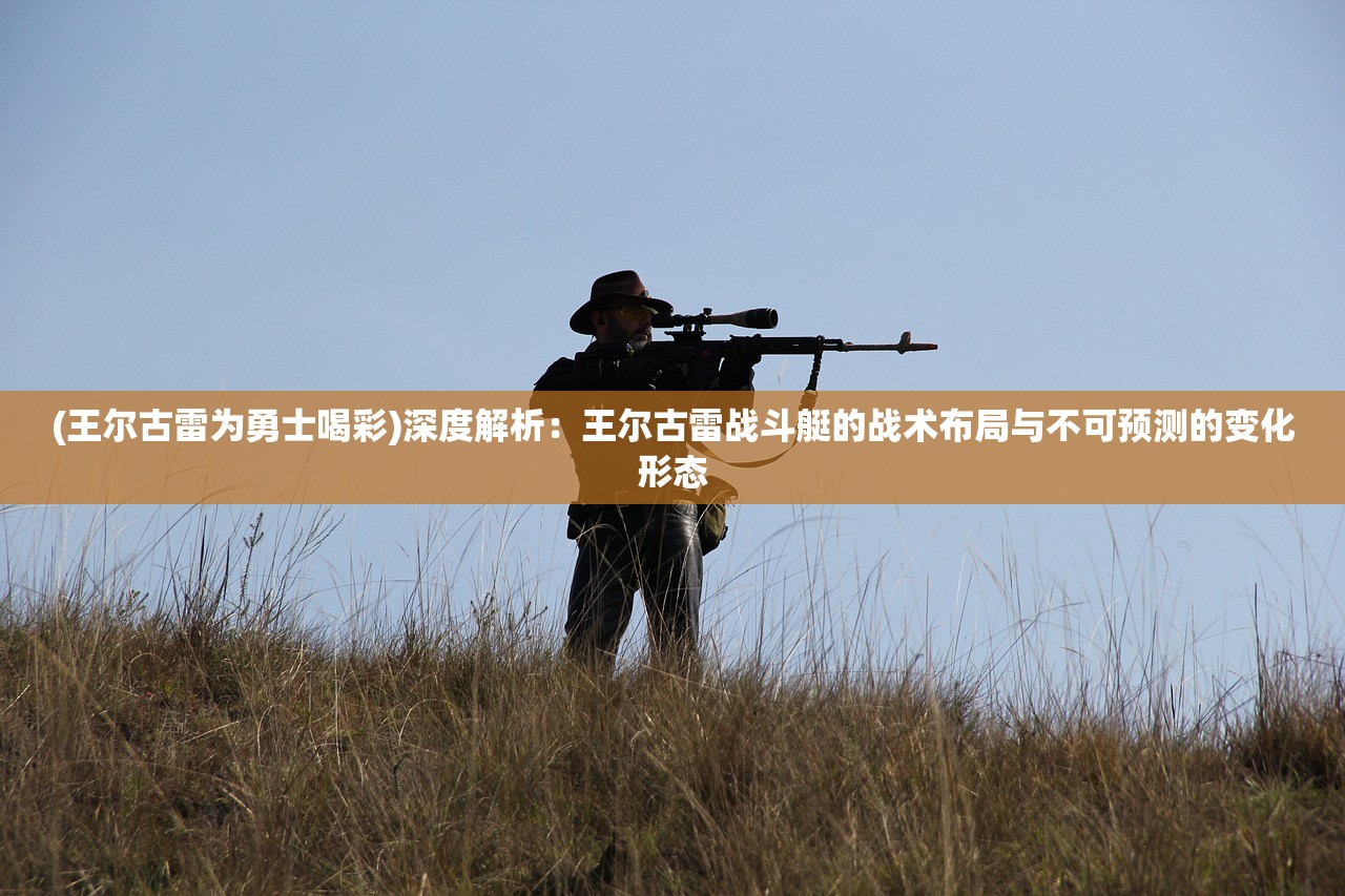 (王尔古雷为勇士喝彩)深度解析：王尔古雷战斗艇的战术布局与不可预测的变化形态