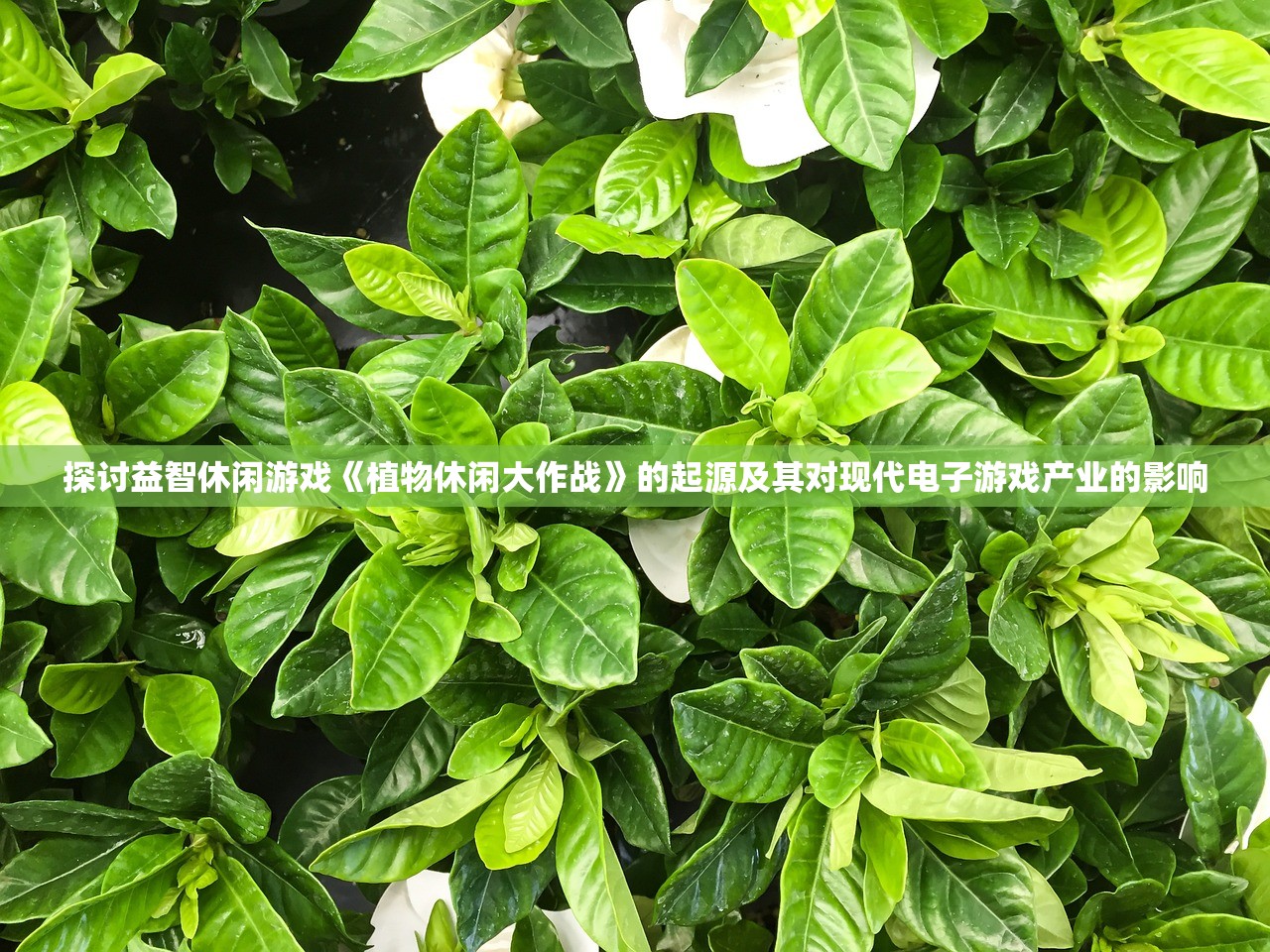 探讨益智休闲游戏《植物休闲大作战》的起源及其对现代电子游戏产业的影响