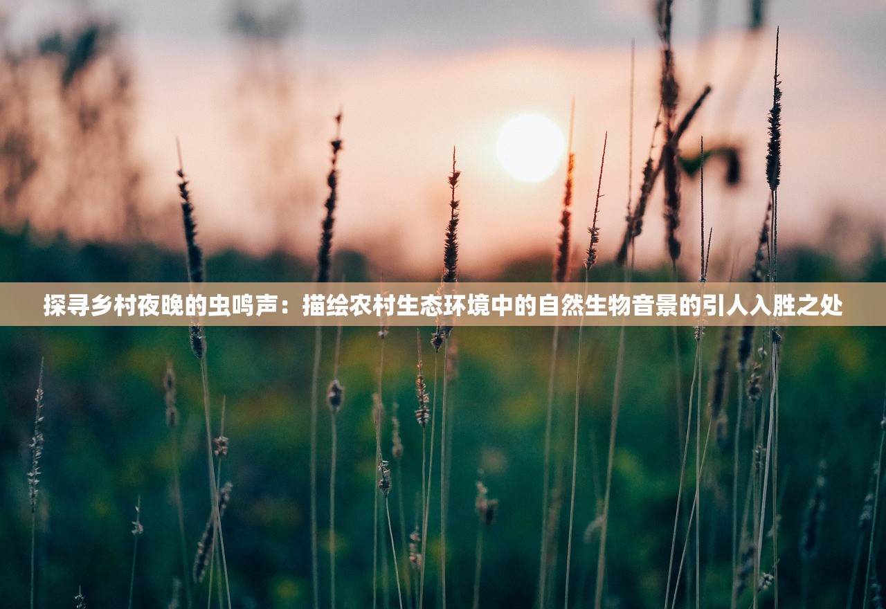 (攻城天下兑换码)攻城天下，揭秘100个永久激活码的神秘面纱