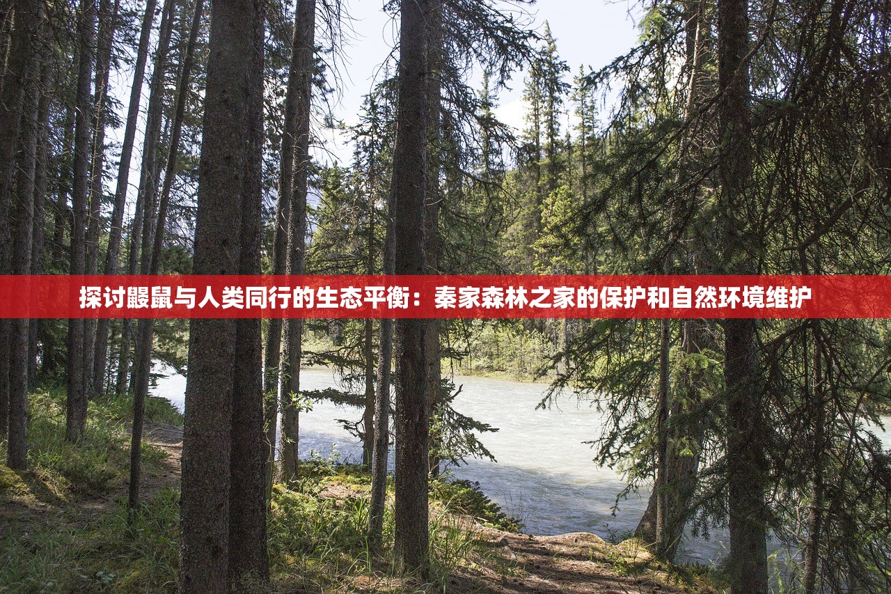 探究平头哥挑战极限大作战：如何利用神奇宝贝将战斗策略提升至新的高度