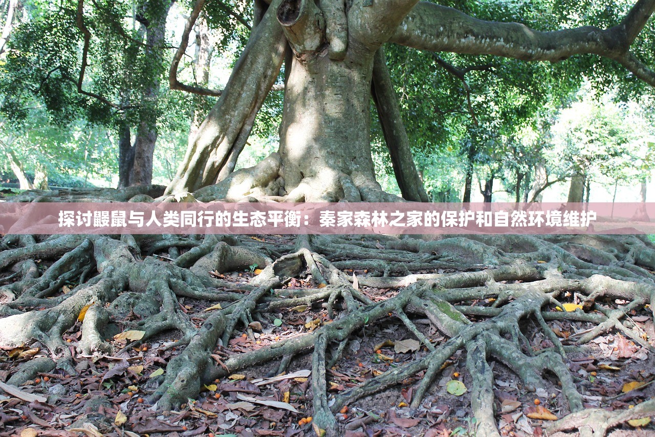 探索历史名将之弈平民最强阵容：从古至今的战争策略与民众力量的完美融合