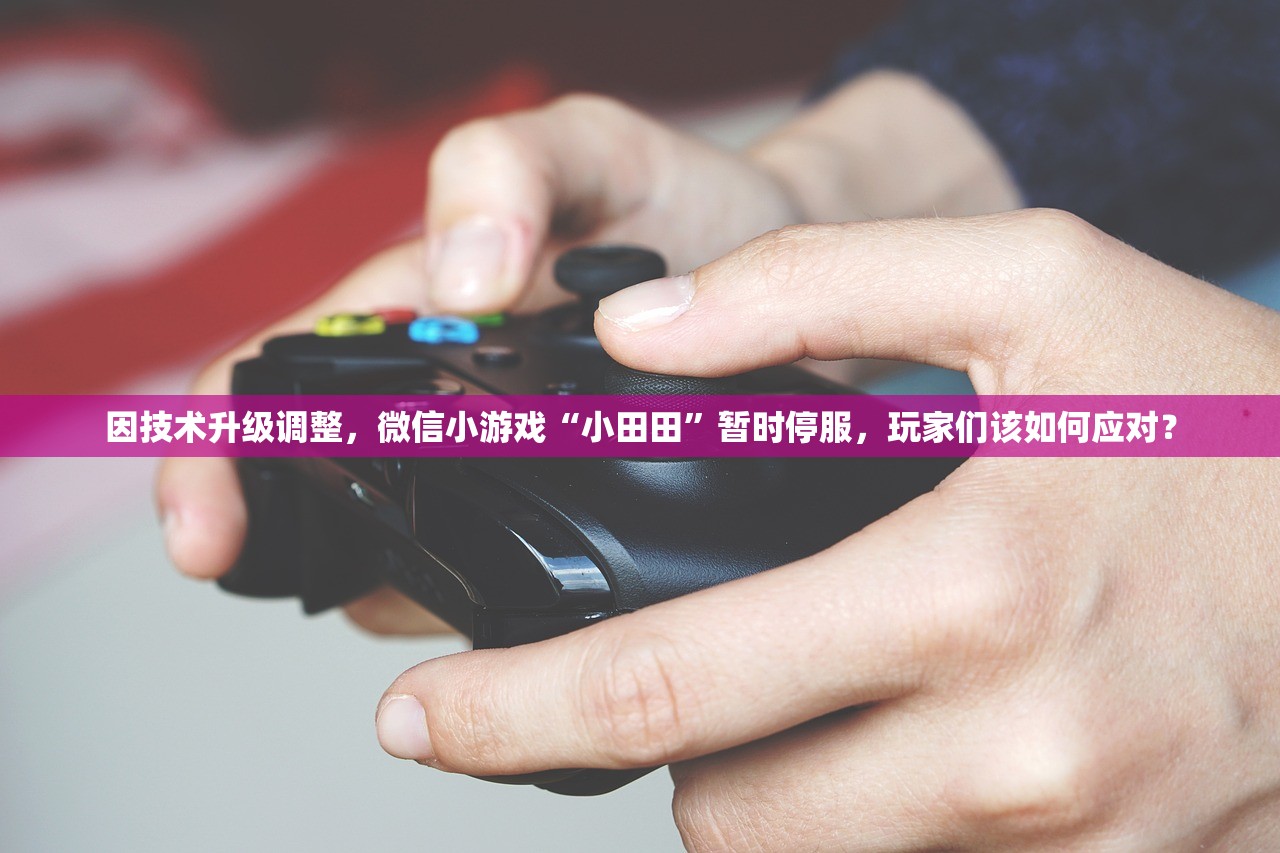 因技术升级调整，微信小游戏“小田田”暂时停服，玩家们该如何应对？