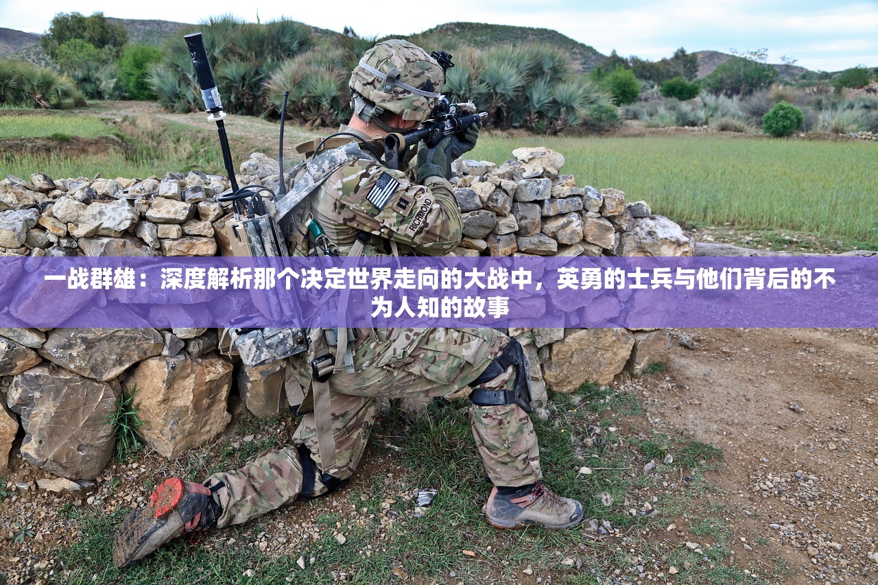 一战群雄：深度解析那个决定世界走向的大战中，英勇的士兵与他们背后的不为人知的故事