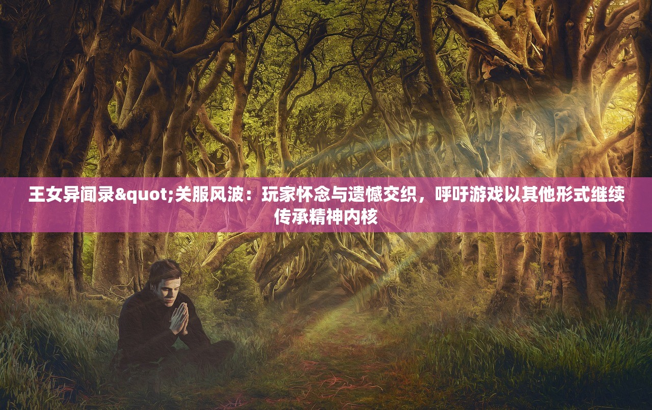王女异闻录"关服风波：玩家怀念与遗憾交织，呼吁游戏以其他形式继续传承精神内核