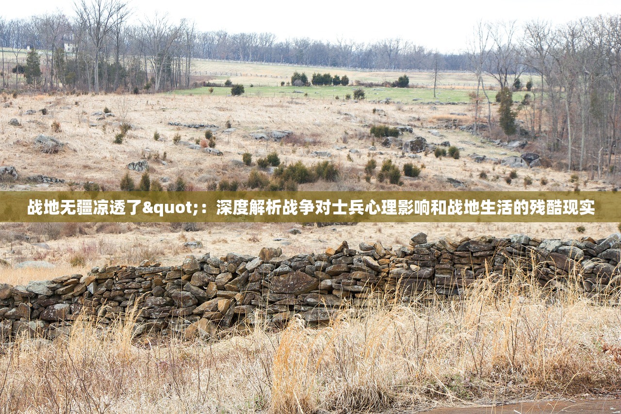 战地无疆凉透了"：深度解析战争对士兵心理影响和战地生活的残酷现实