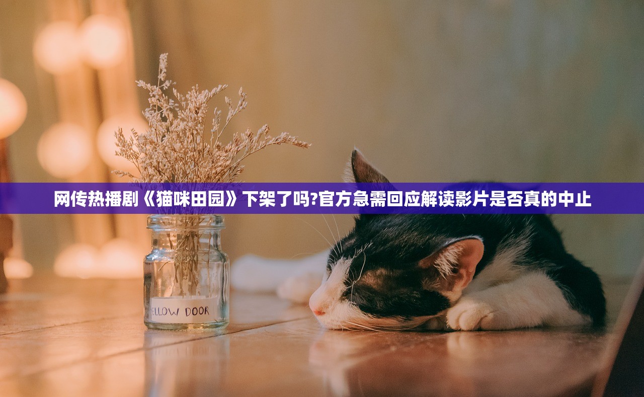 网传热播剧《猫咪田园》下架了吗?官方急需回应解读影片是否真的中止