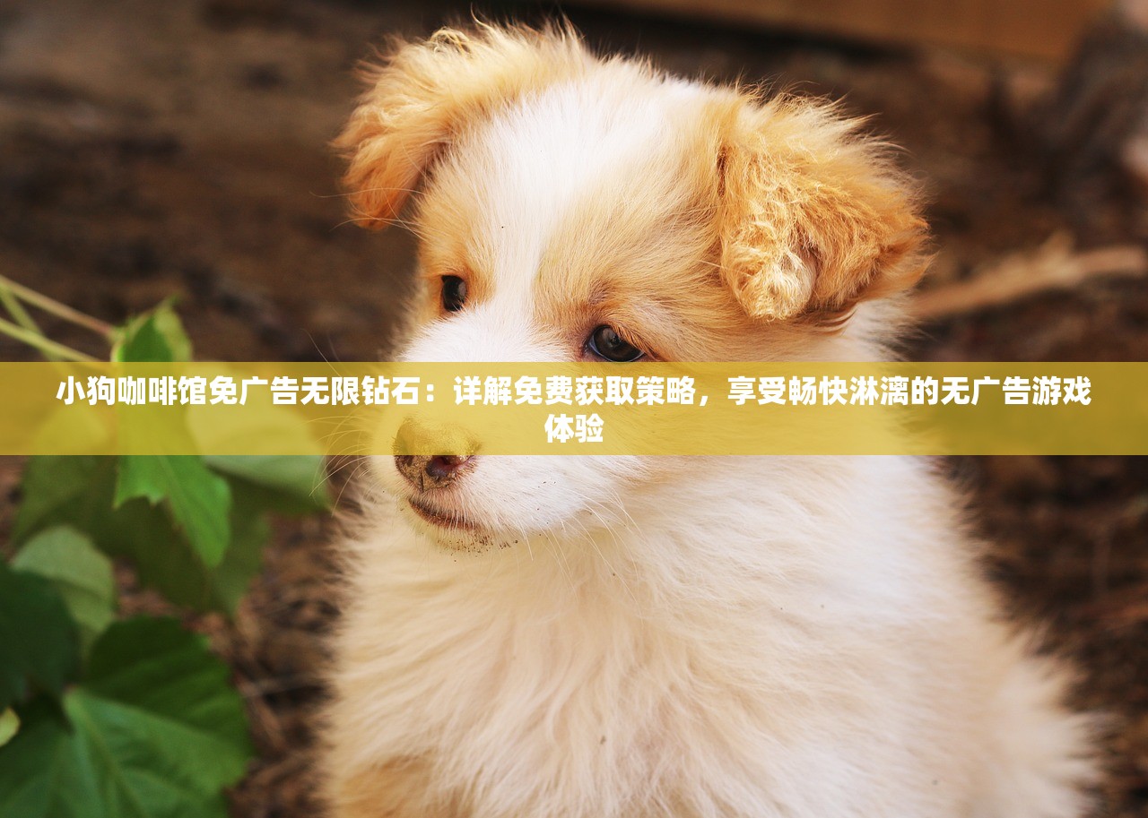 小狗咖啡馆免广告无限钻石：详解免费获取策略，享受畅快淋漓的无广告游戏体验