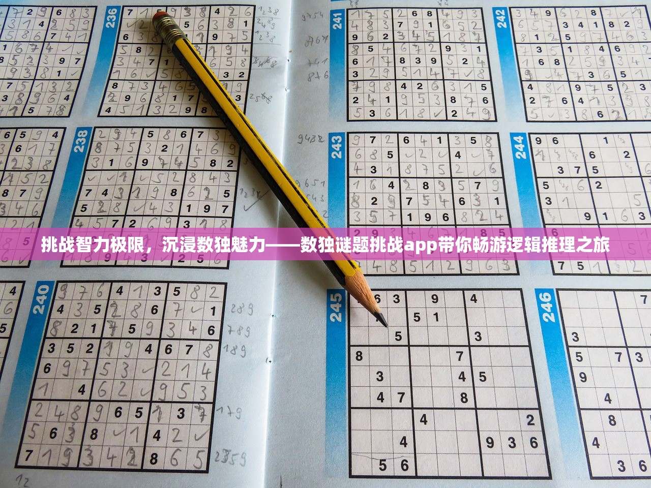 挑战智力极限，沉浸数独魅力——数独谜题挑战app带你畅游逻辑推理之旅