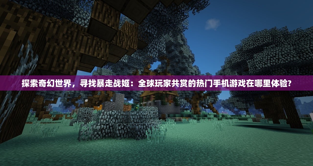 (时空猎人无限钻石版本)时空猎人1无限钻石版，深度解析与探索