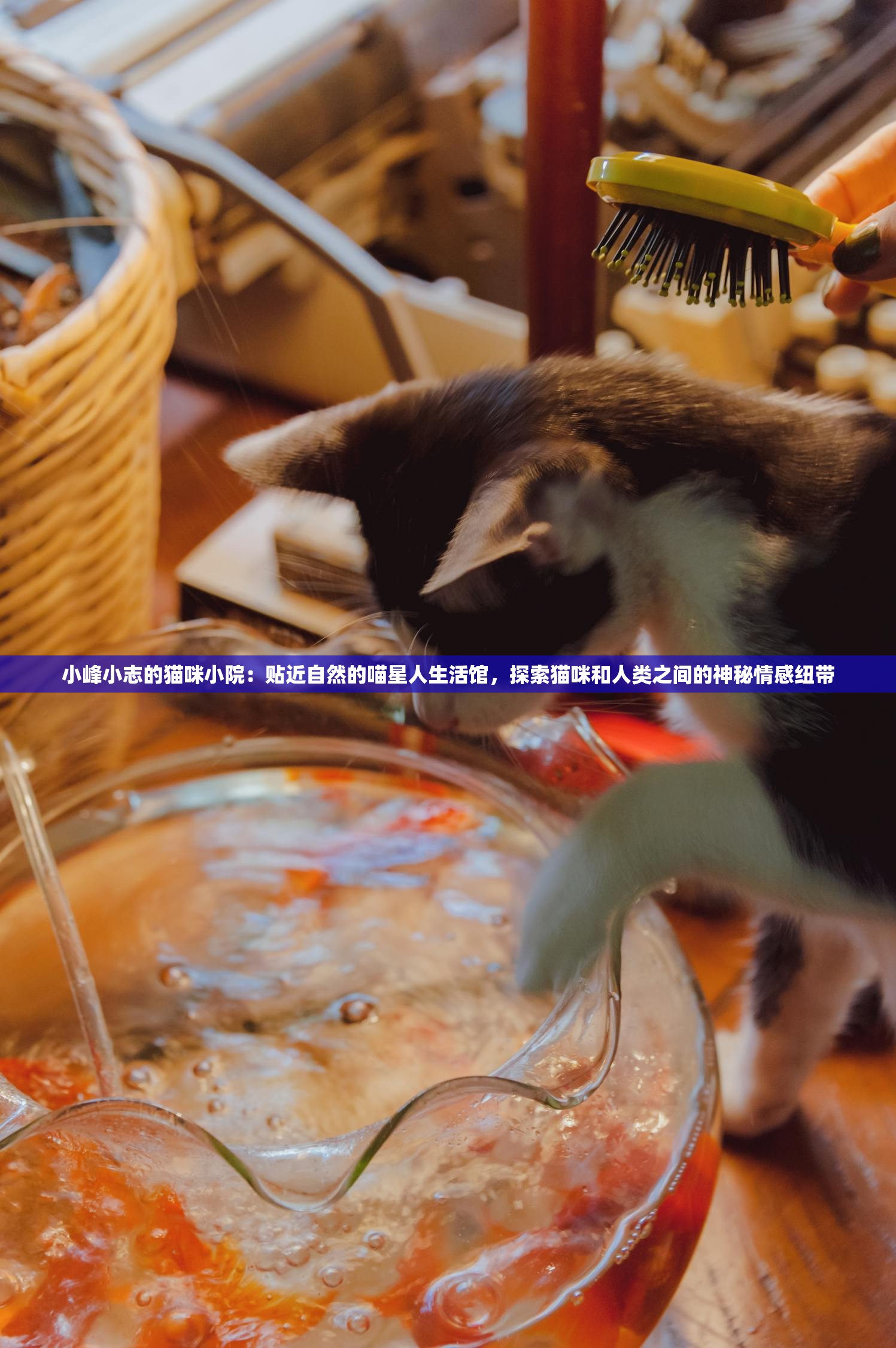 (时空猎人无限钻石版本)时空猎人1无限钻石版，深度解析与探索