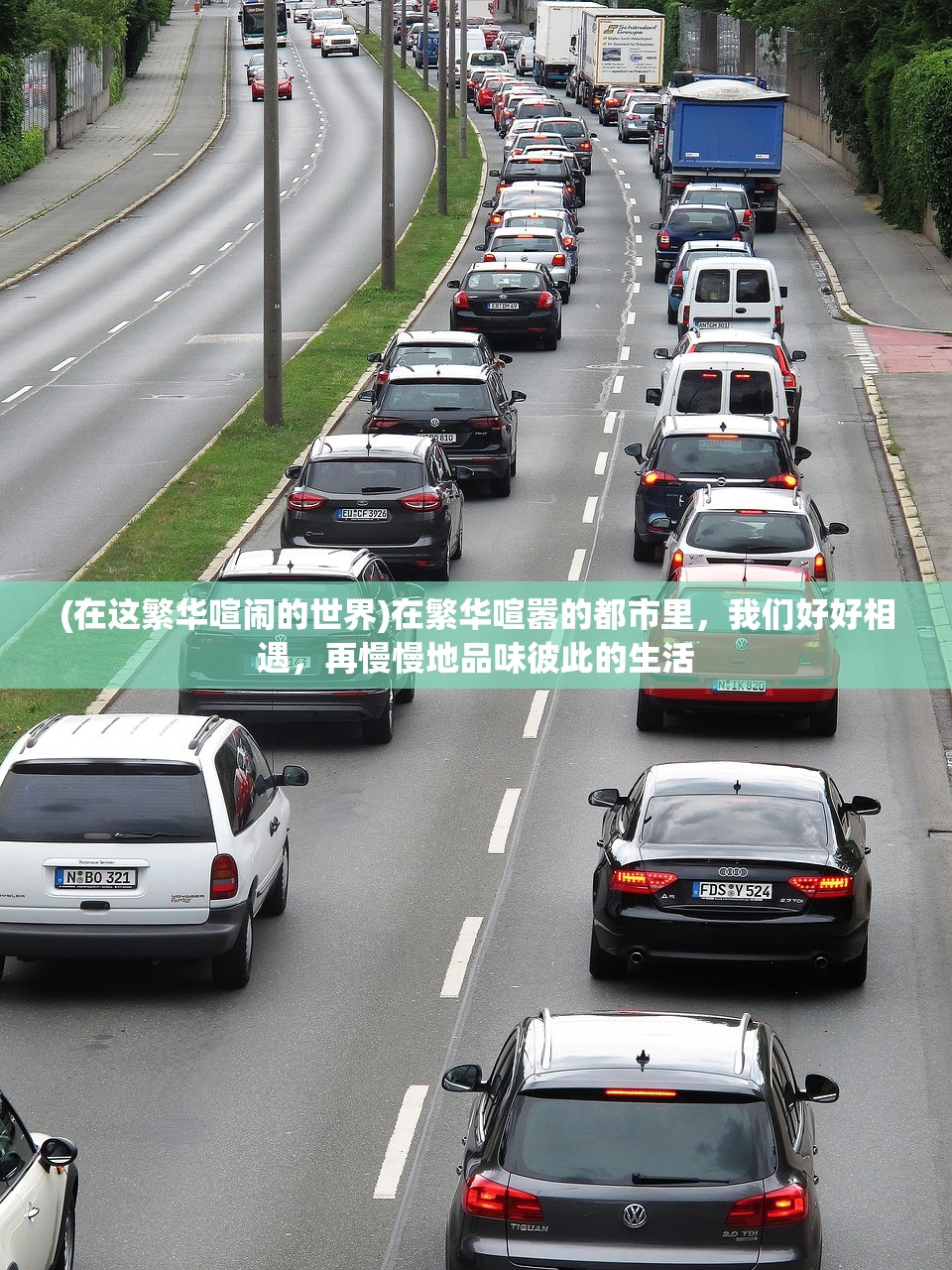 (在这繁华喧闹的世界)在繁华喧嚣的都市里，我们好好相遇，再慢慢地品味彼此的生活