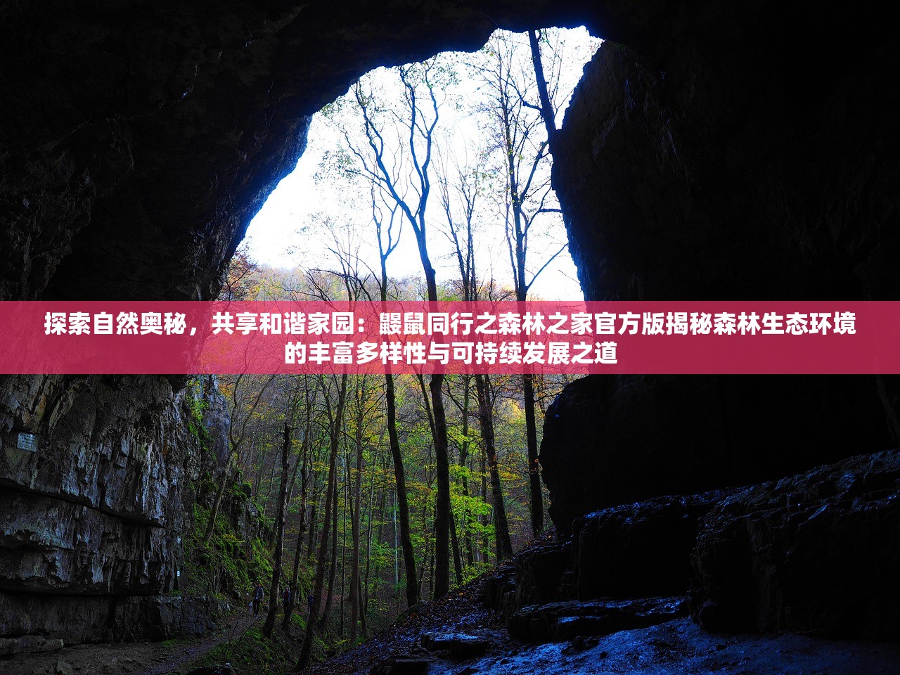 探索自然奥秘，共享和谐家园：鼹鼠同行之森林之家官方版揭秘森林生态环境的丰富多样性与可持续发展之道