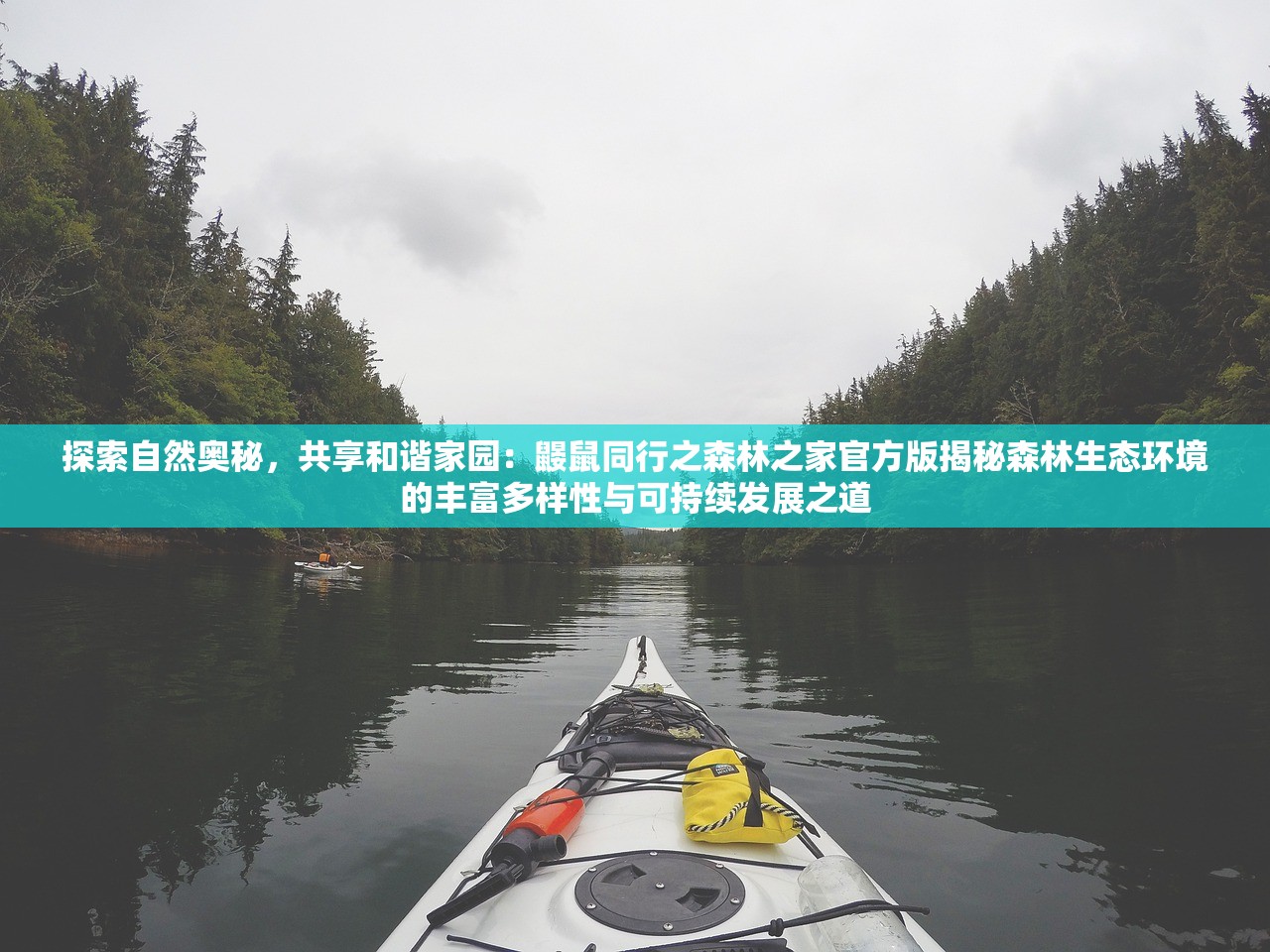 探索自然奥秘，共享和谐家园：鼹鼠同行之森林之家官方版揭秘森林生态环境的丰富多样性与可持续发展之道