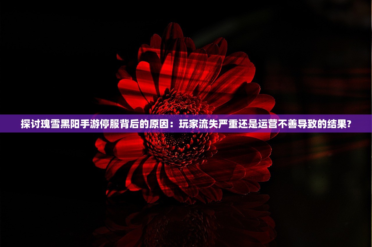 (天使之路第一季冠军是谁)天使之路，探寻美的历程与无限可能