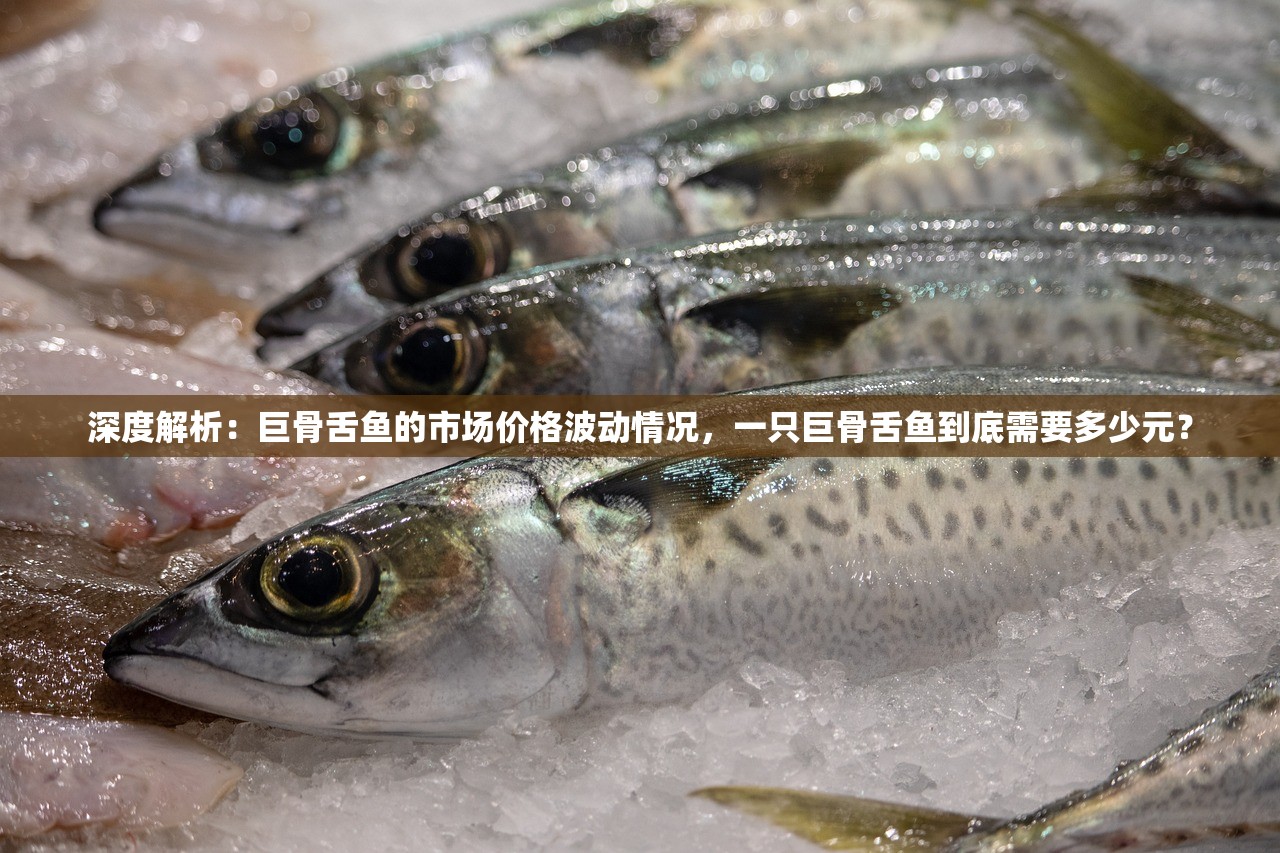 (永恒战场手游下载)永恒战场手游，一场策略与勇气的较量