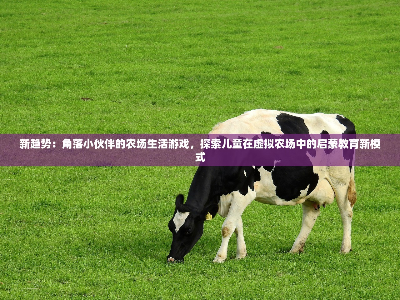 探究4399醉游三国：以精彩战斗、绚丽画质、创新玩法引领国内游戏行业新风向