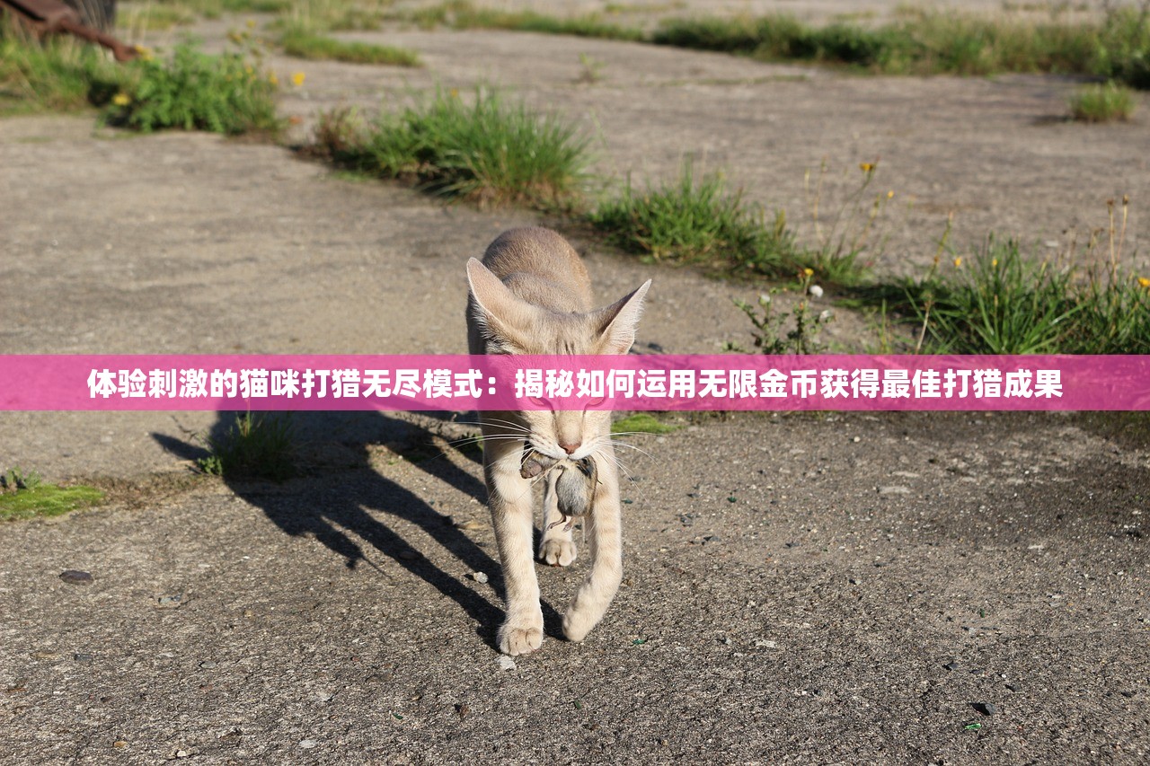 (城市飞车2免费领车怎么领)城市飞车2免费领车攻略及常见问题解答