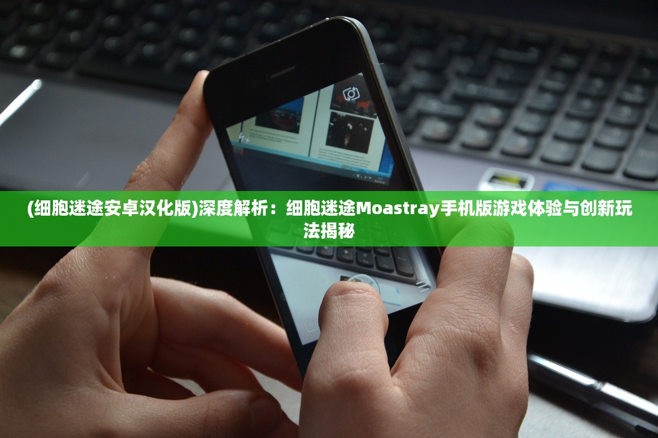 (莽荒纪txt 百度网盘)莽荒纪完整版txt百度网盘，探寻经典之作的完整之旅