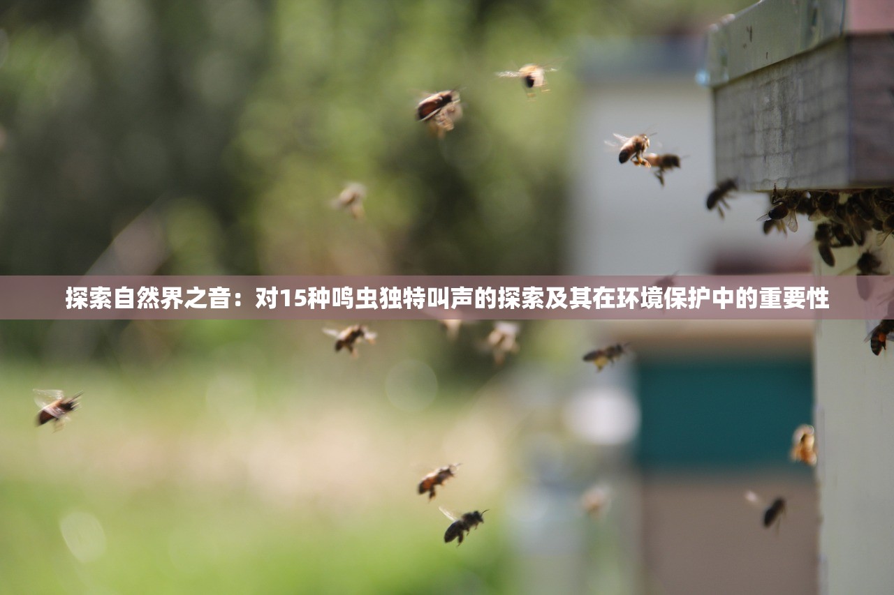 (屠鲲传世满v版)山海经屠鲲传奇手游，道士技能加点攻略与解析