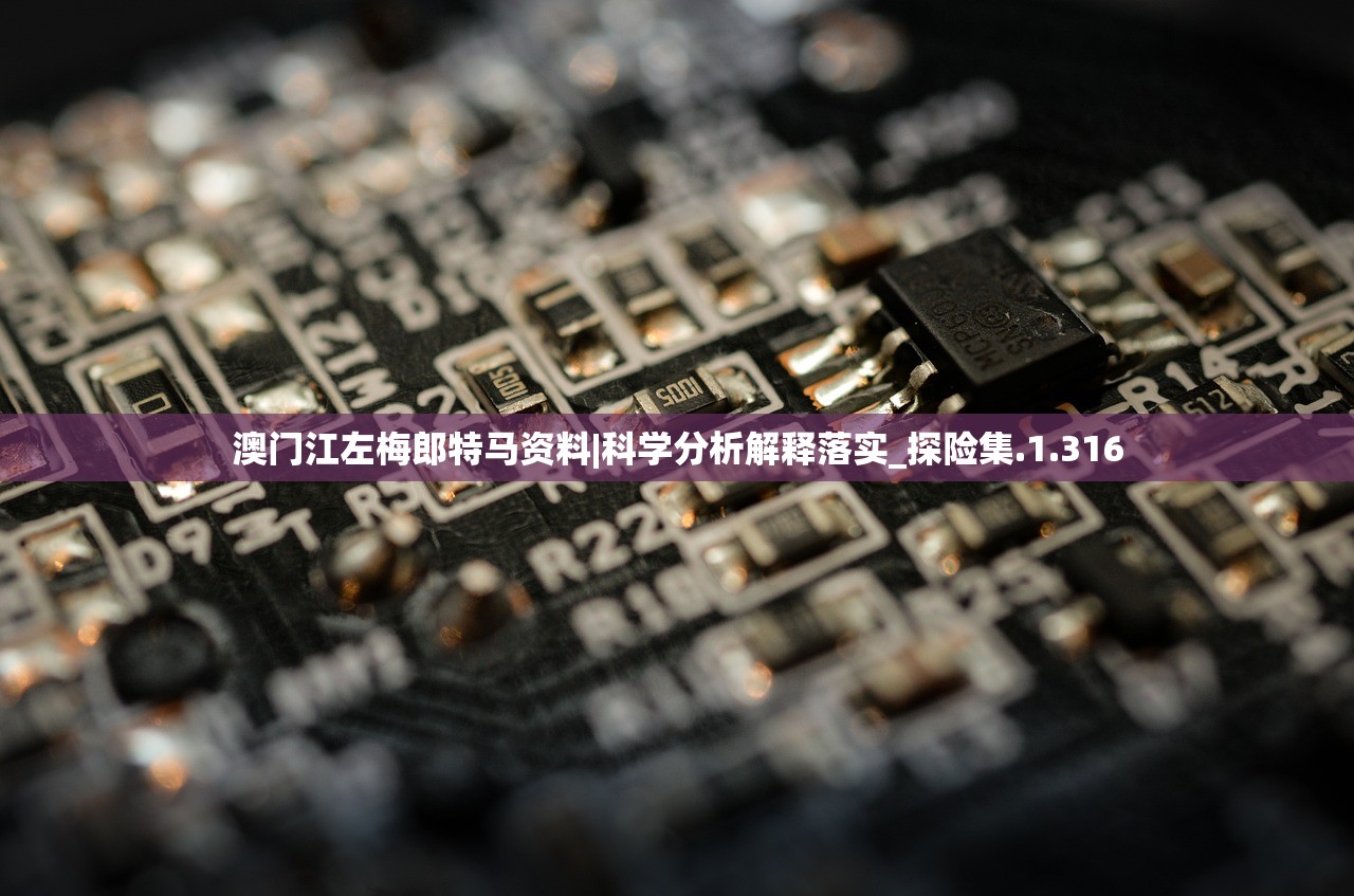 澳门江左梅郎特马资料|科学分析解释落实_探险集.1.316