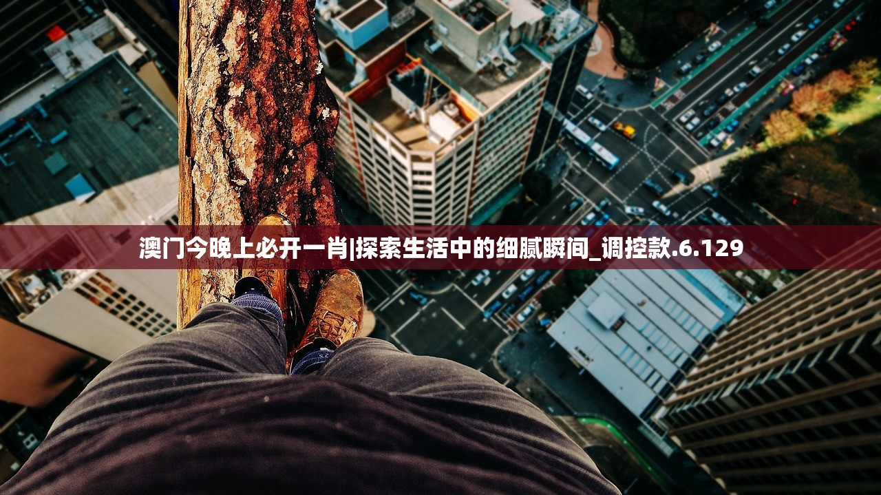 (大宋少年志哔哩哔哩)大宋少年志免费下载，激情江湖，英雄少年，打造最强武林