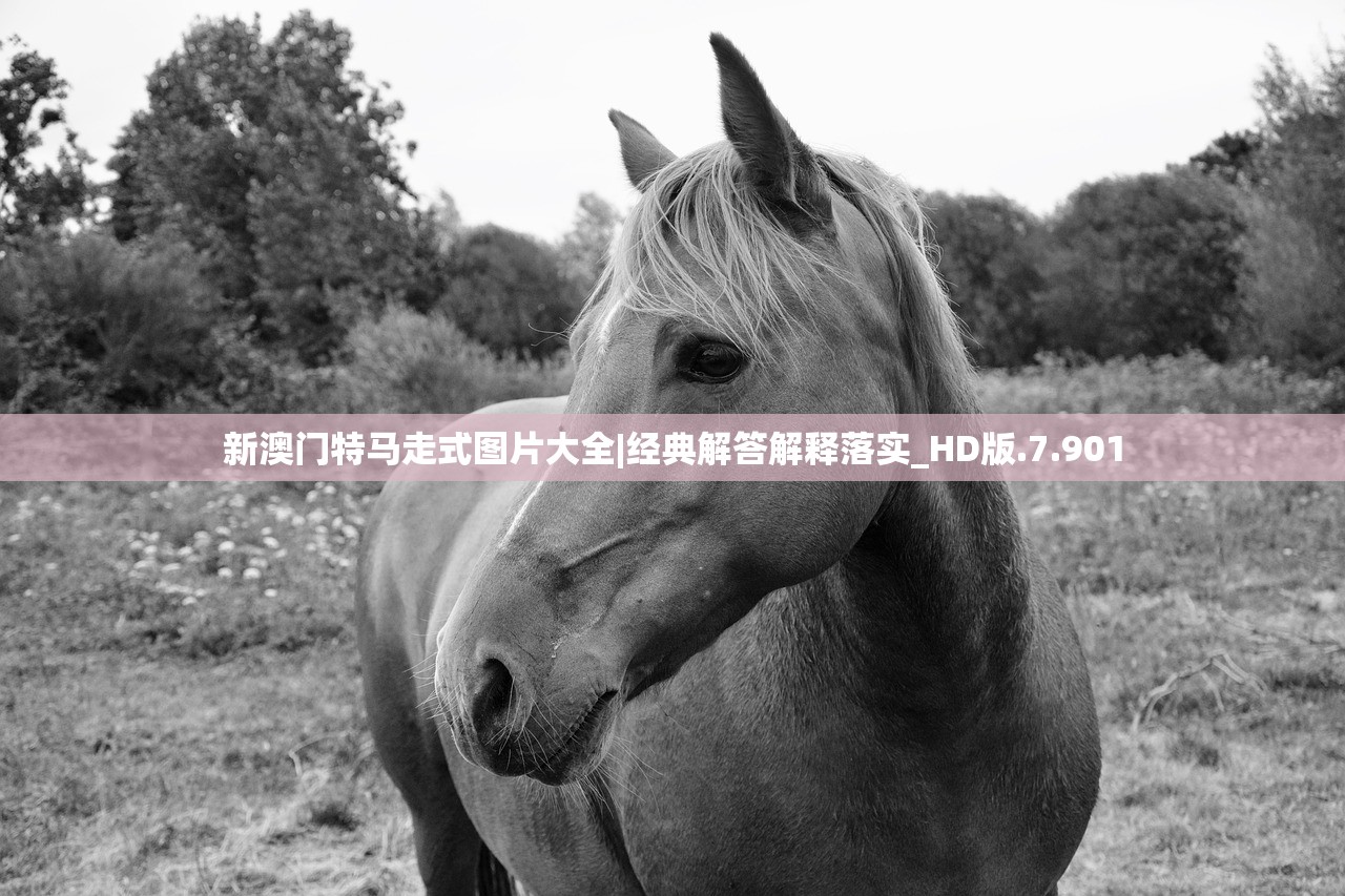 (盗墓笔记精选)盗墓笔记：观众热议！众人共同分享盗墓笔记的精彩瞬间