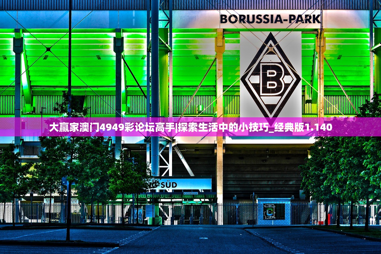 2024澳门开奖记录历史查询|探索城市隐秘角落的魅力_实现型.7.979