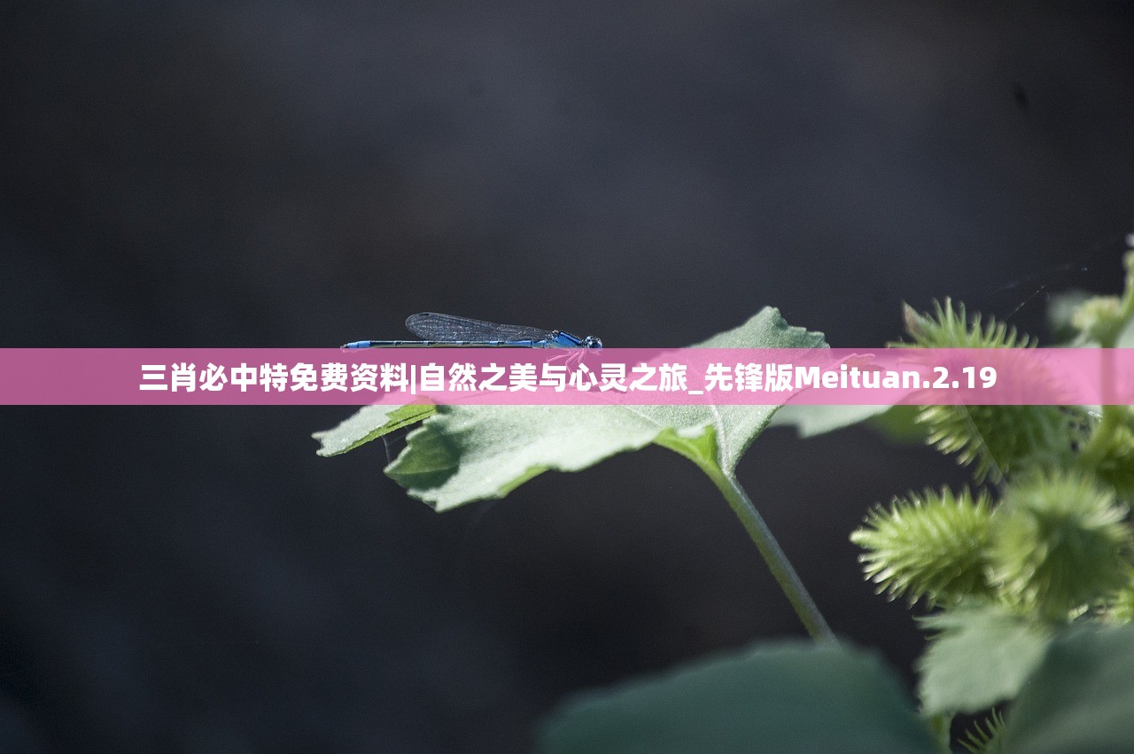 支付宝这城有良田2024：未来农业的数字化革新和发展