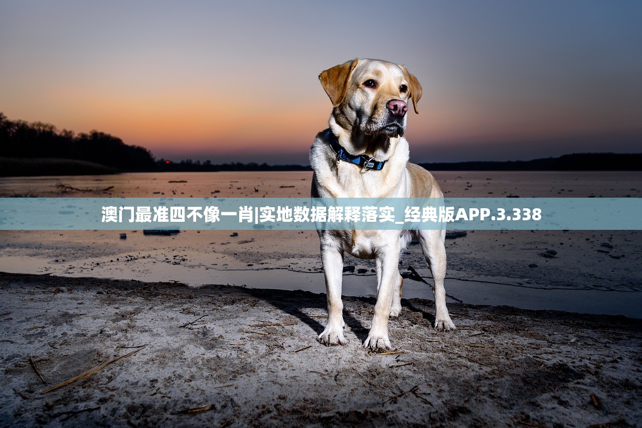 (寻仙通天挑战怎么打)探秘武道寻仙通天塔完整通关攻略详解
