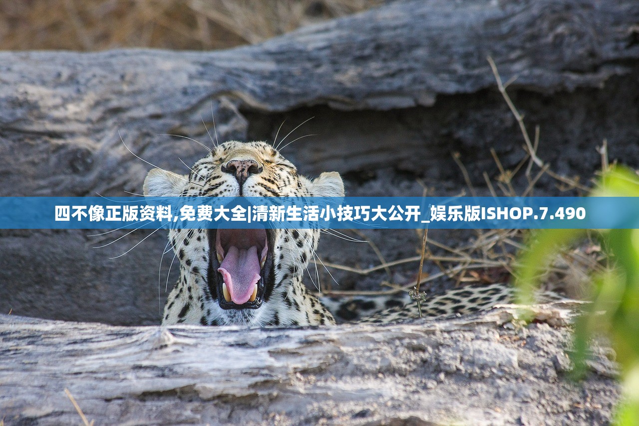 四不像正版资料,免费大全|清新生活小技巧大公开_娱乐版ISHOP.7.490