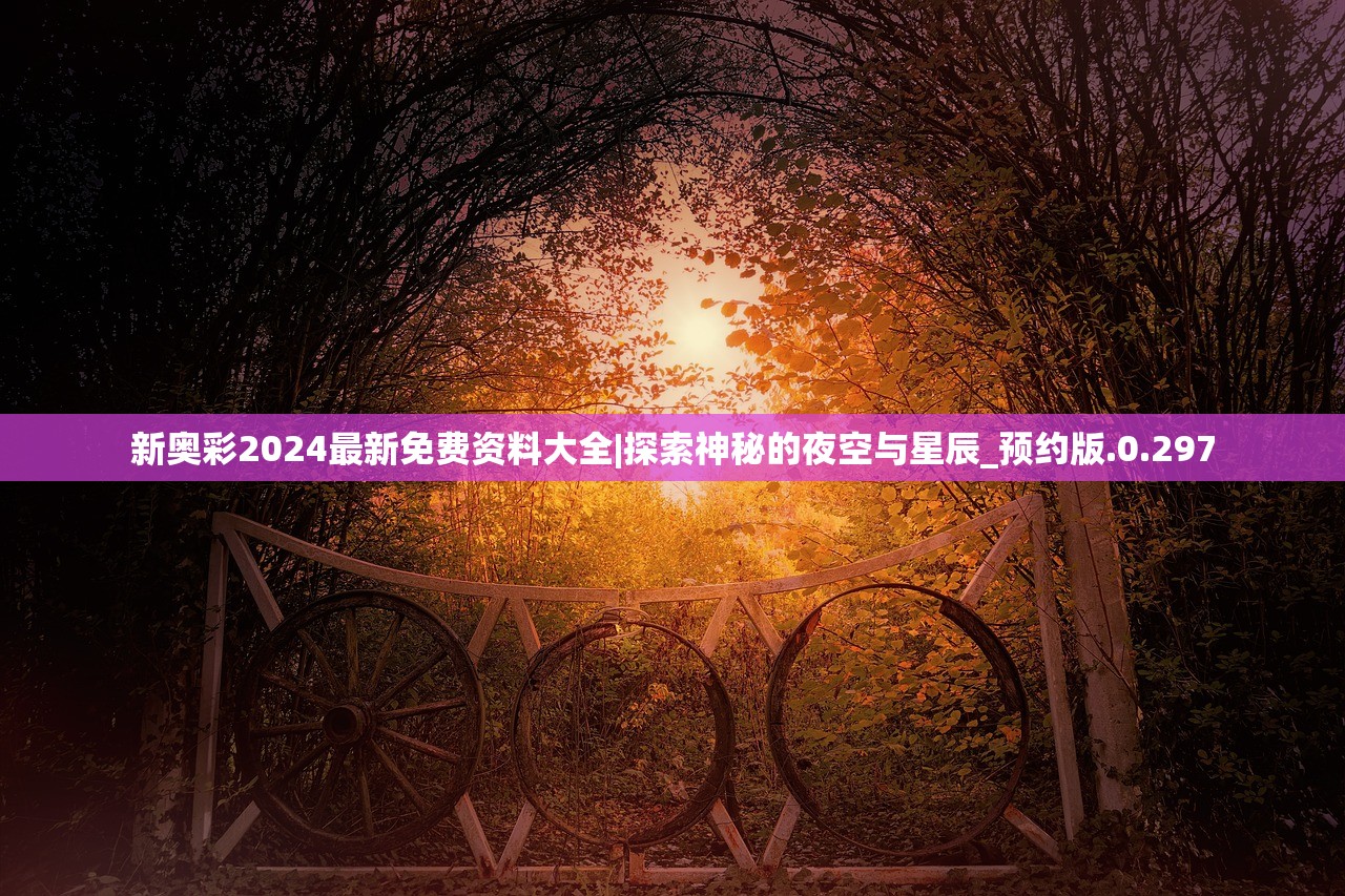 新奥彩2024最新免费资料大全|探索神秘的夜空与星辰_预约版.0.297