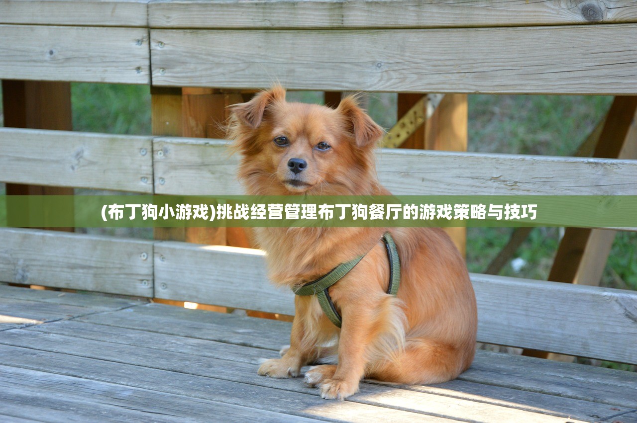 (泰兔兔的新剧)泰兔兔新剧引发热议，观众期待精彩表现