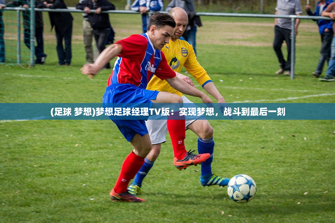 (足球 梦想)梦想足球经理TV版：实现梦想，战斗到最后一刻