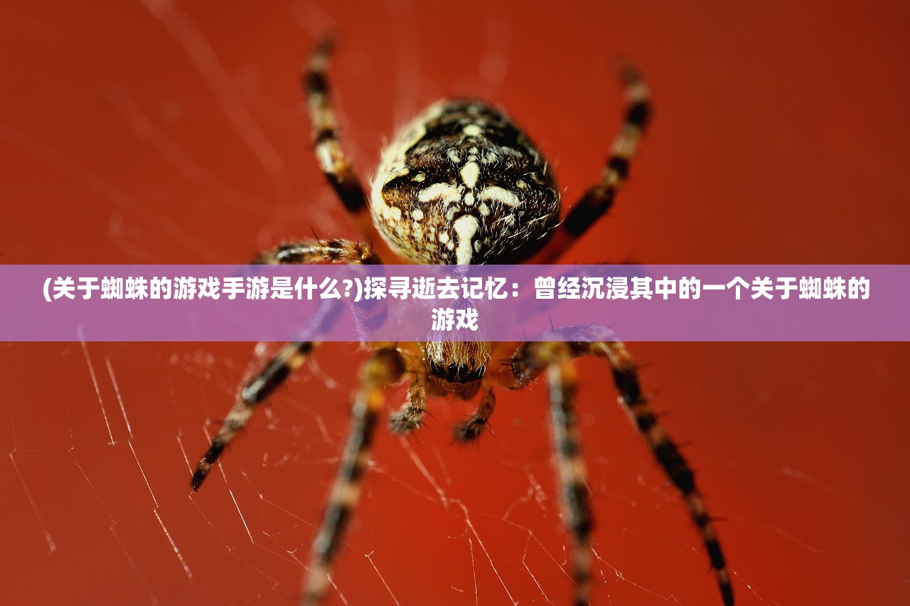 (从凡间修炼到仙界神界的小说)从凡尘到仙界，百炼成仙故事梗概揭秘惊人修行之路