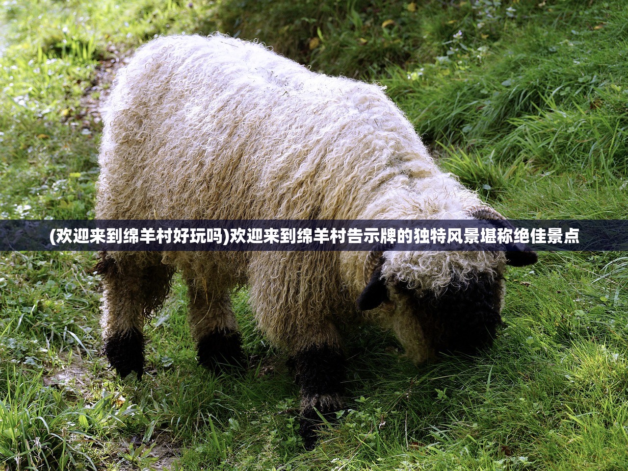 (怀旧单机红警手机下载)回顾经典怀旧，探寻最老单机版红警96年的魅力