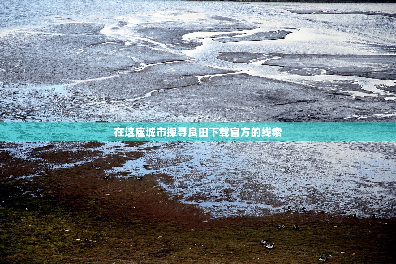 (代号是狼人狙击手电影)代号X狼人游戏平台入口，探索神秘的游戏世界