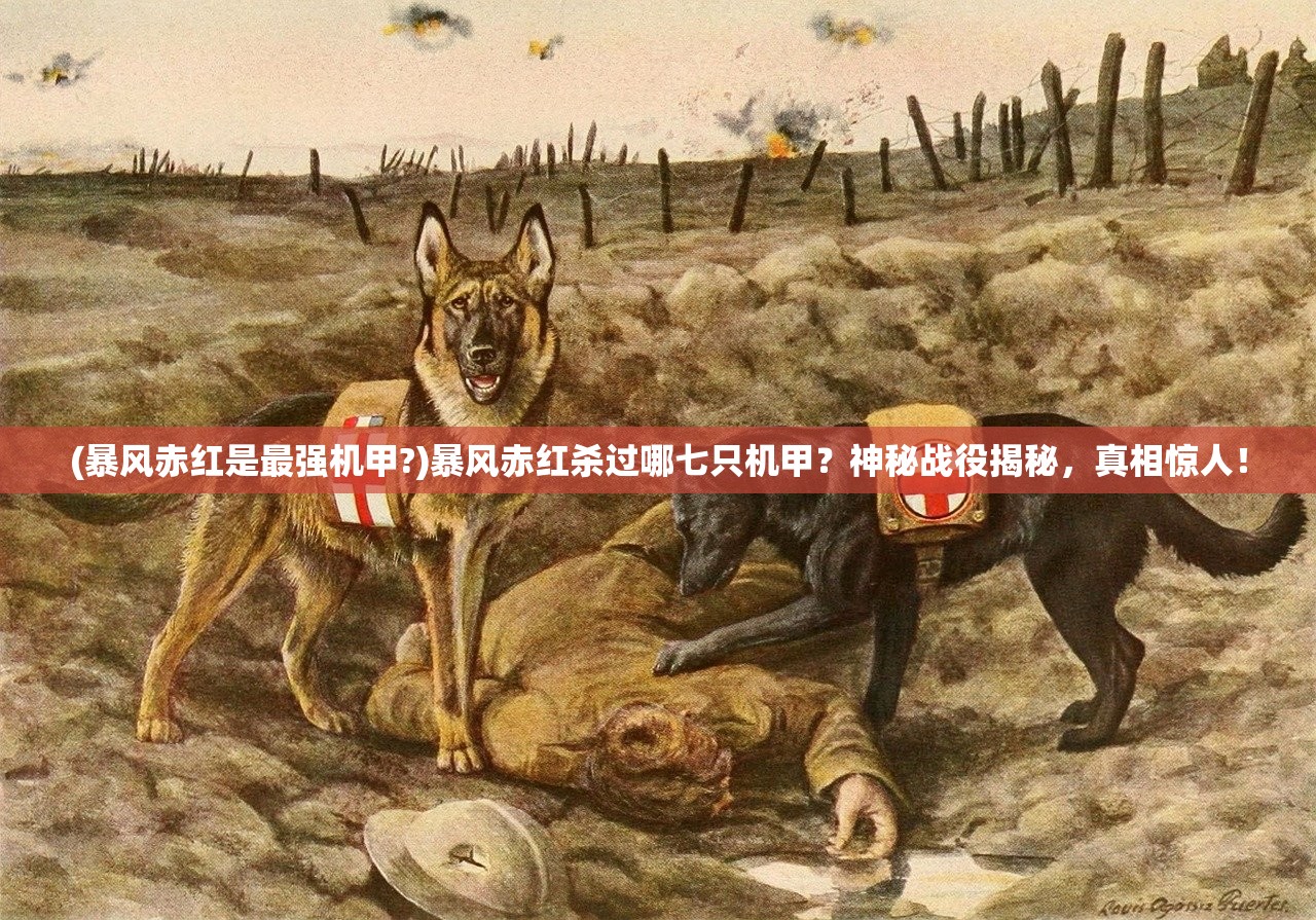 (畅感浮空岛游戏攻略秘籍)畅感浮空岛，探索最厉害的角色