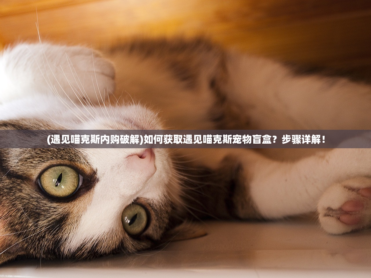 (暴打魏蜀吴吧)暴打魏蜀吴停服事件深度解析