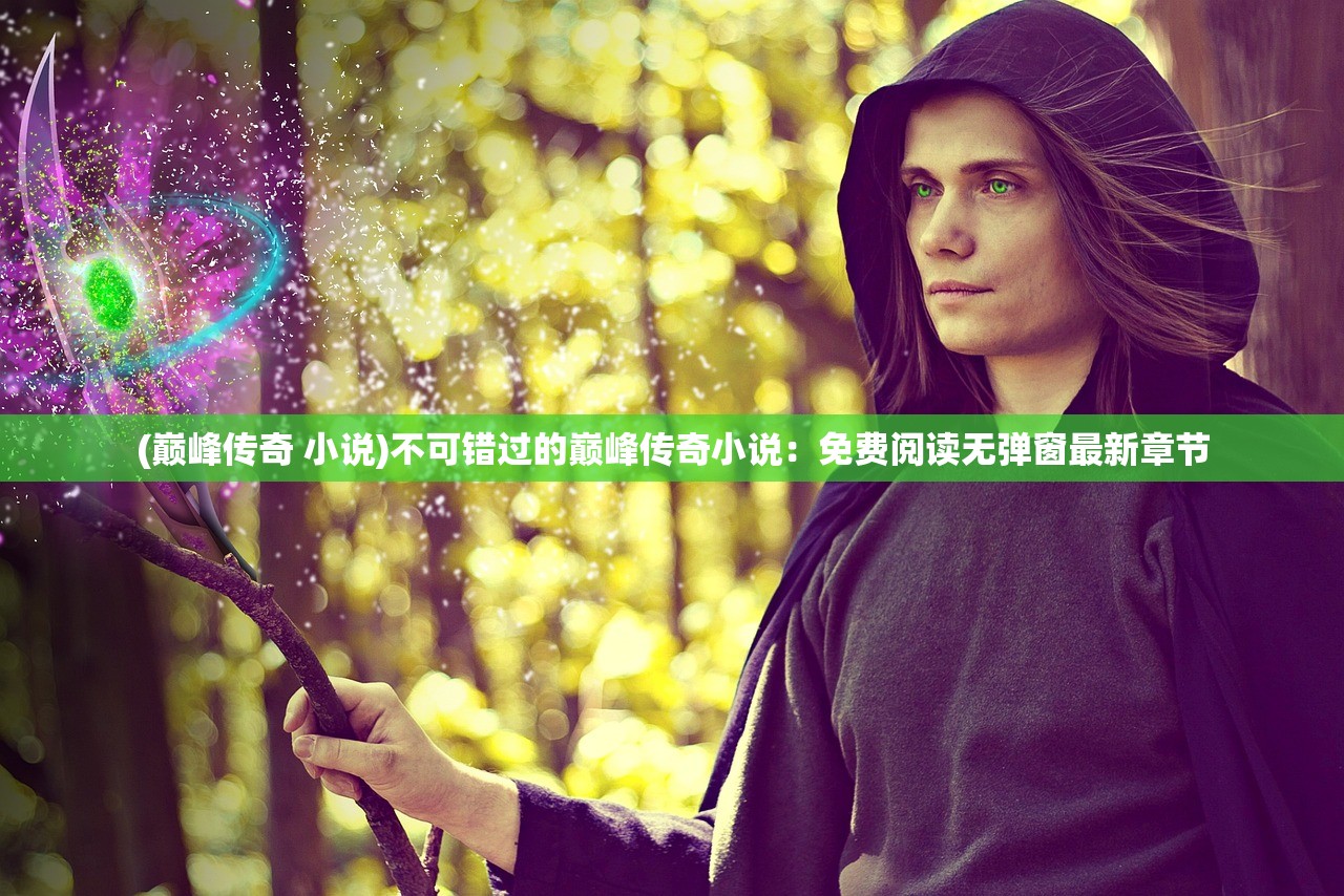 (巅峰传奇 小说)不可错过的巅峰传奇小说：免费阅读无弹窗最新章节