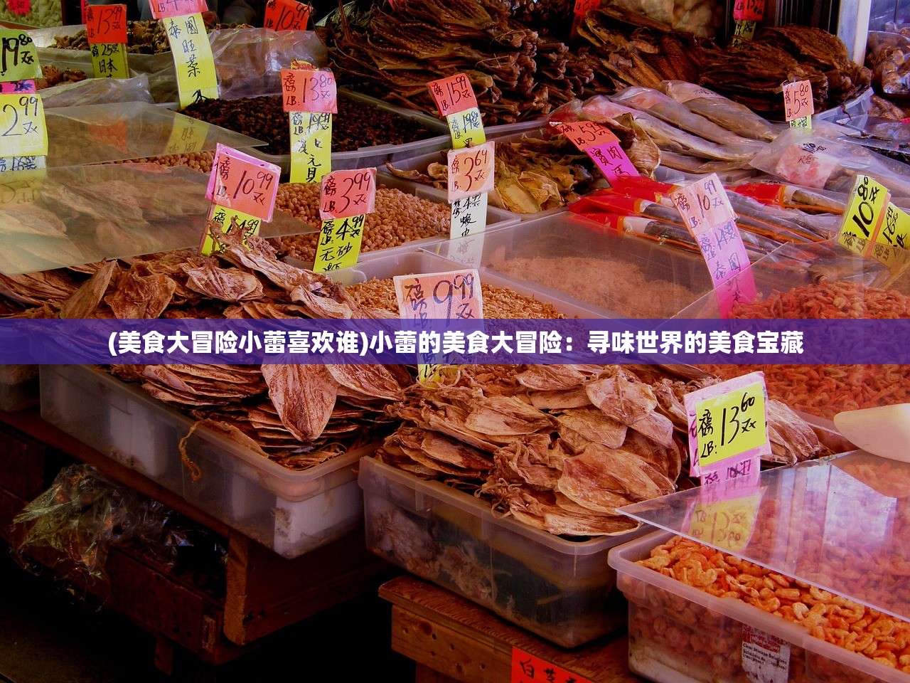 (天才联盟动漫片头曲)天才联盟动漫，探寻梦想与荣耀的集结之地