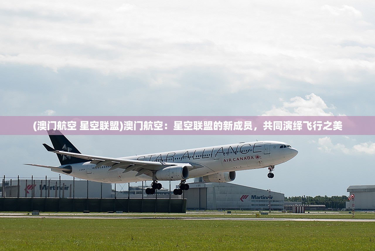 (502是什么号码)502代号是什么意思？理解它的背后含义