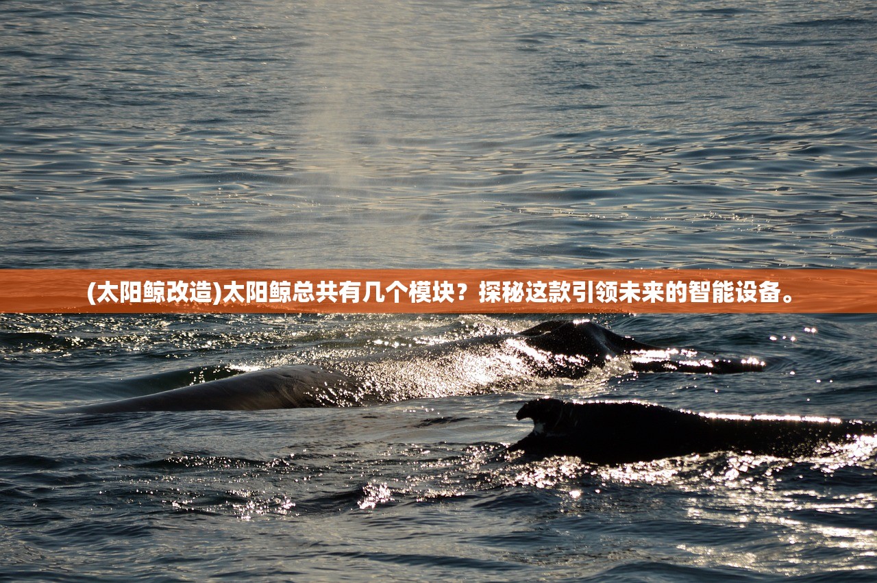 (西诱记怎么捕获敌人)西诱记手游安卓版，深度解析与常见问题解答