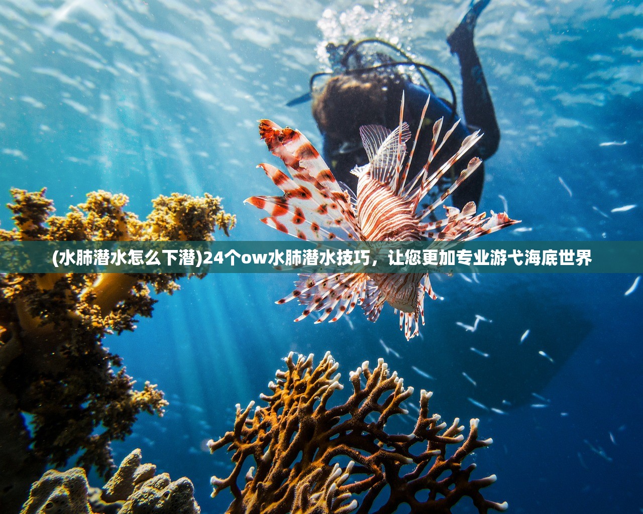 (惊蛰之谍战深海电视剧演员表介绍)惊蛰来袭！谍战深海之惊蛰，披荆斩棘终揭谜底