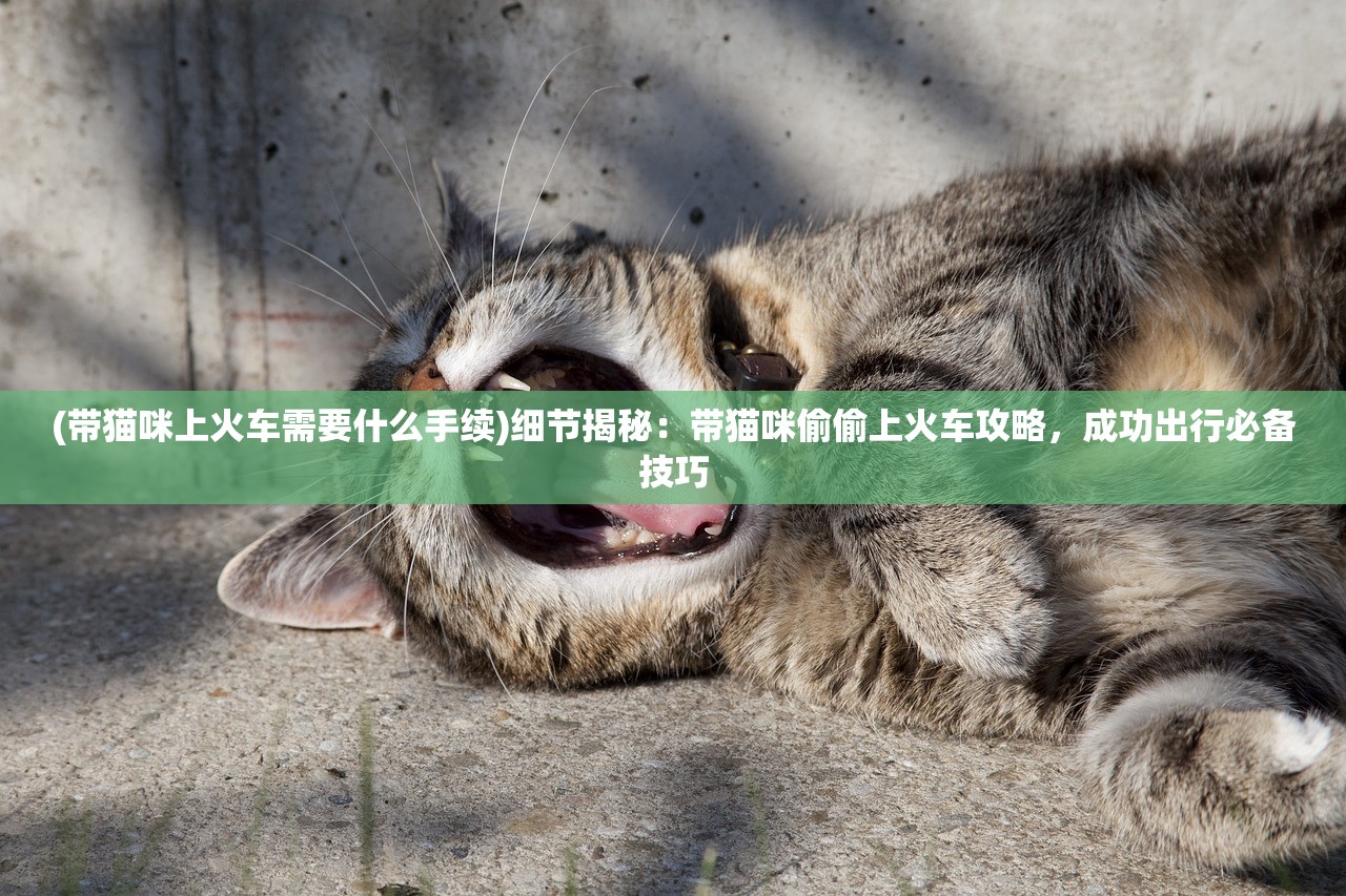 (援军抵达战场的成语)援军抵达战场，战略转折的关键时刻