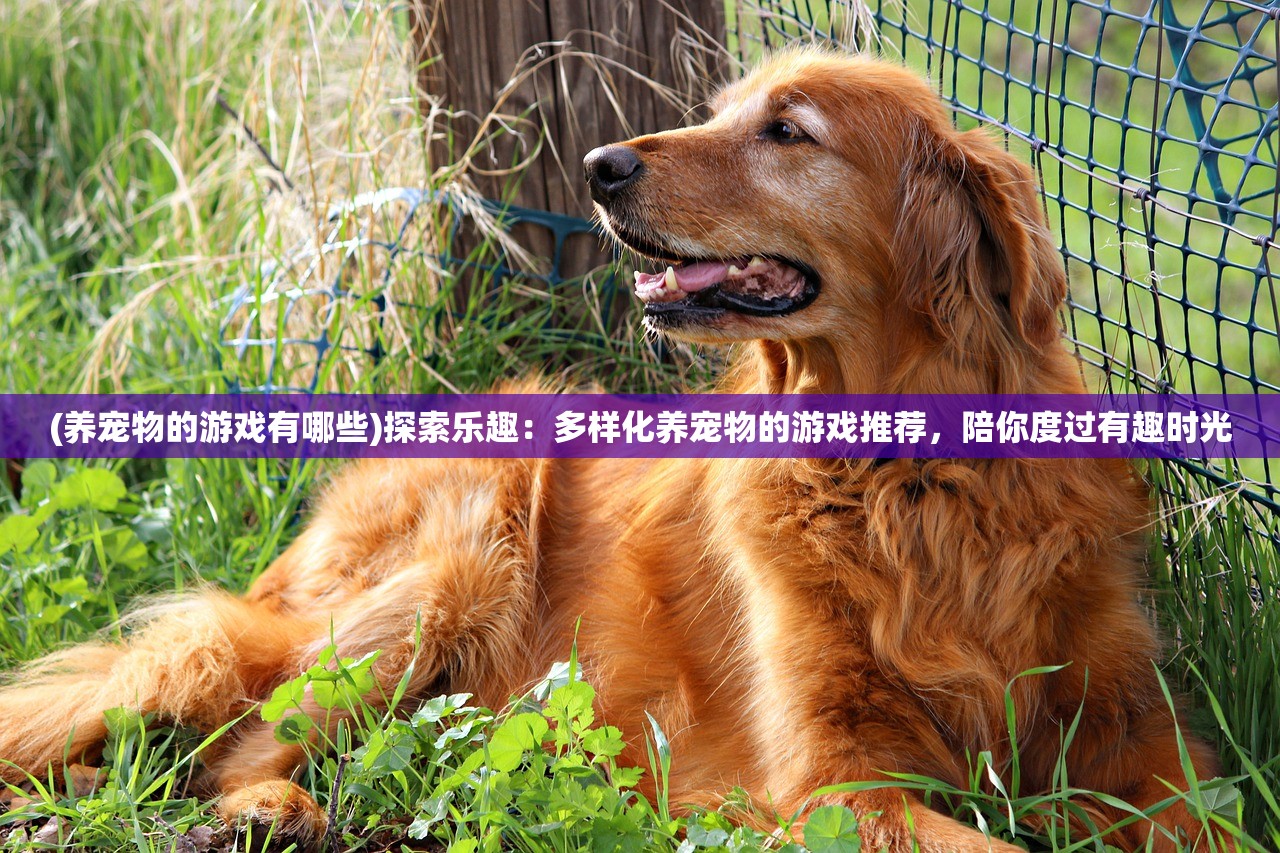 (养宠物的游戏有哪些)探索乐趣：多样化养宠物的游戏推荐，陪你度过有趣时光