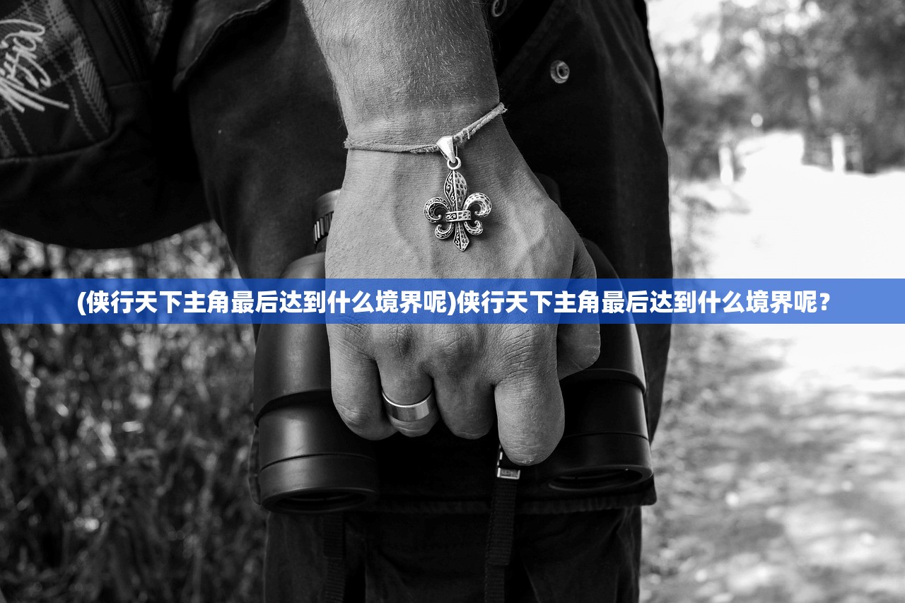 (侠行天下主角最后达到什么境界呢)侠行天下主角最后达到什么境界呢？