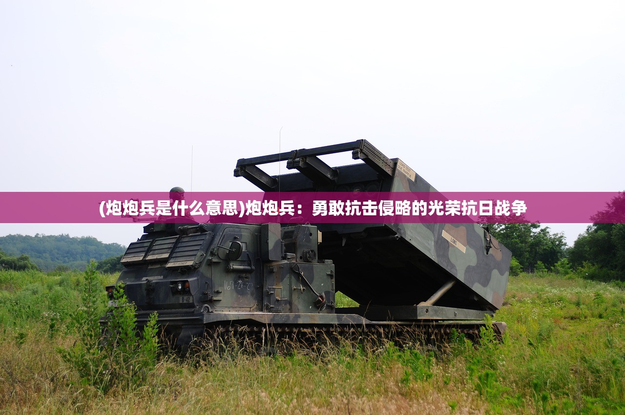 (炮炮兵是什么意思)炮炮兵：勇敢抗击侵略的光荣抗日战争